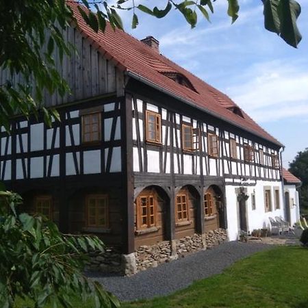 Izerski Dom Vila Leśna Exterior foto