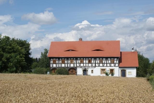 Izerski Dom Vila Leśna Exterior foto