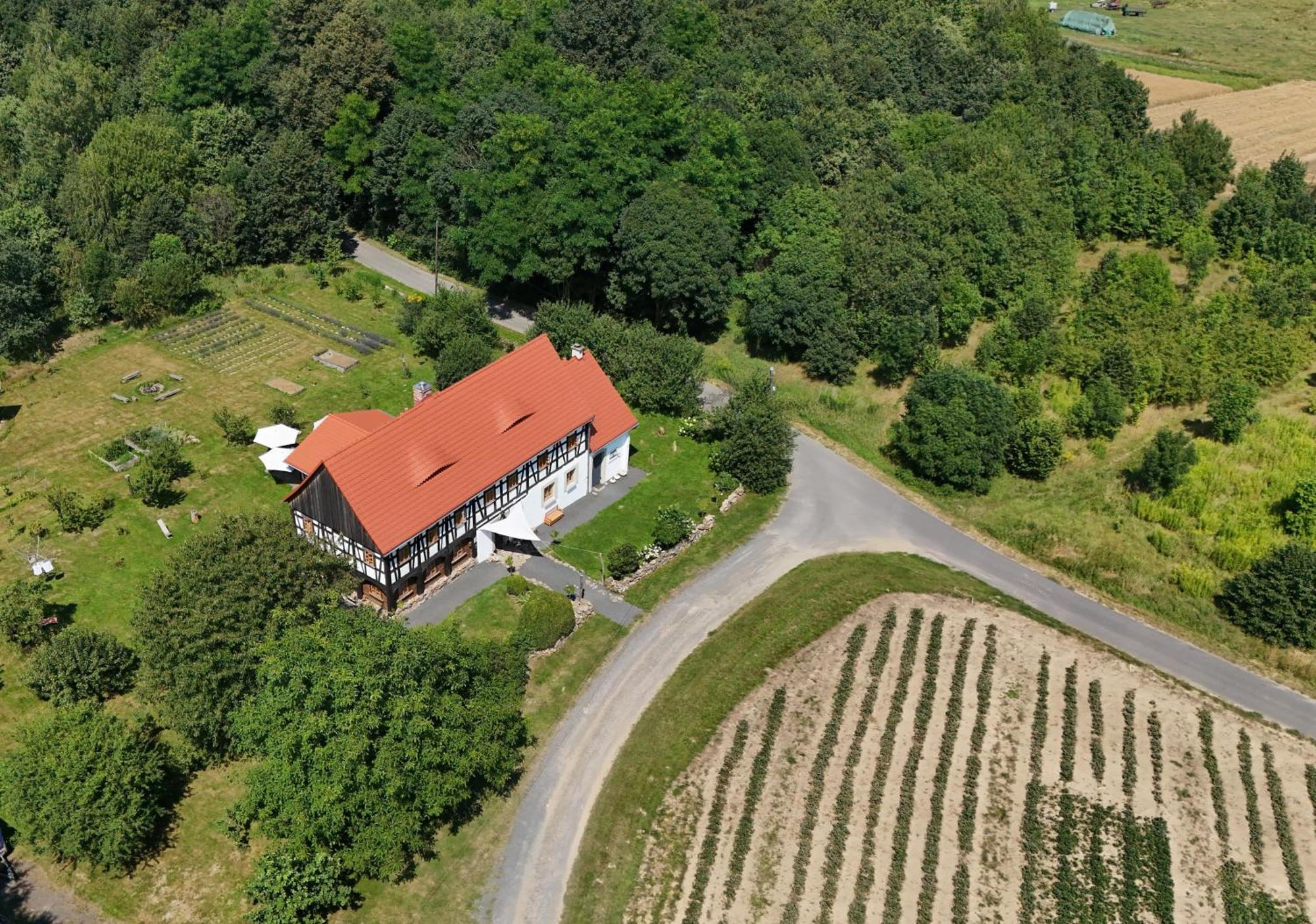 Izerski Dom Vila Leśna Exterior foto